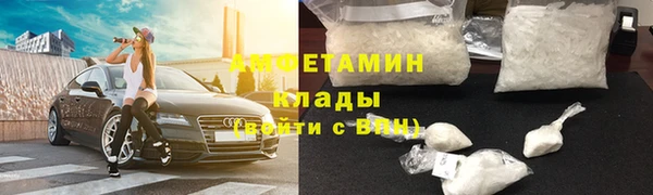 индика Баксан