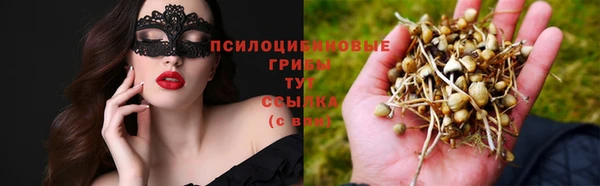индика Баксан