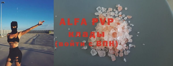 индика Баксан