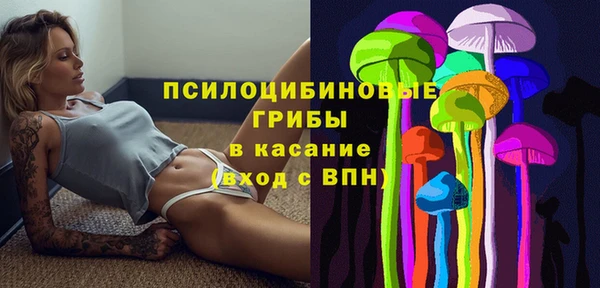 индика Баксан