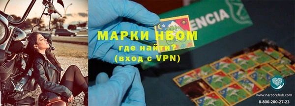 индика Баксан
