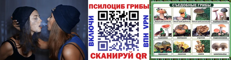 купить наркотик Буйнакск Галлюциногенные грибы GOLDEN TEACHER